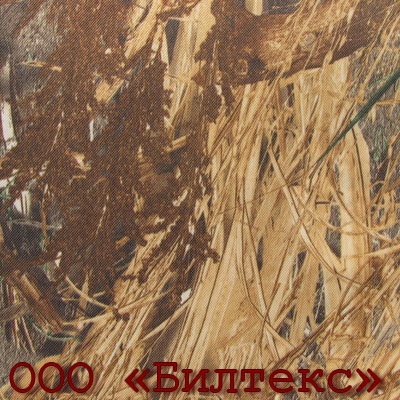 blt_0018_c77