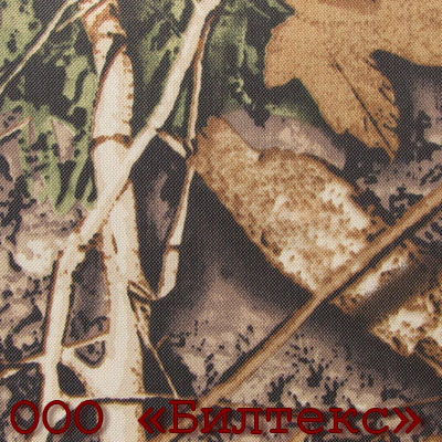 blt_0020_fw