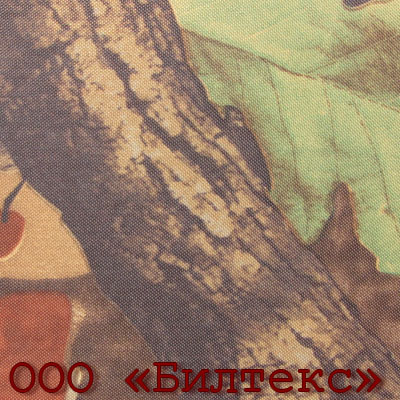 blt_0021_c32